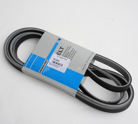 781945 Pasek THERMO KING do Slxe Slxi Spectrum