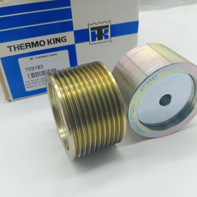TS16949 Thermo King Agregaty chłodnicze 709183 Napinacz paska
