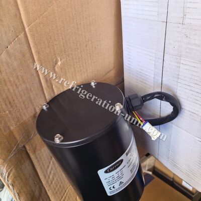 54-00691-20/54-00691-00 Carrier original parts MOTOR EVAPORATOR available for the trailer unit HE19 13.11KG net weight