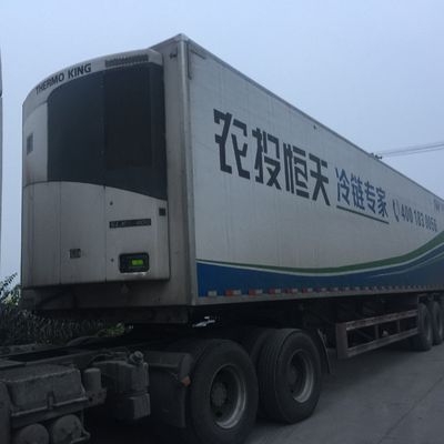 Thermo King 0 Celsius SLXI 300 Zamrażarka do chłodzenia żywności